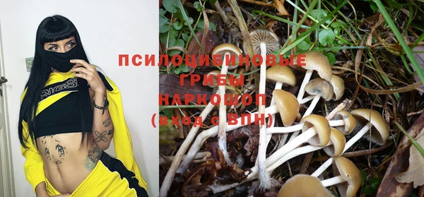 стафф Дмитровск