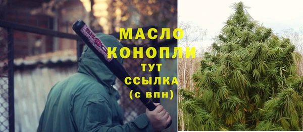 МДПВ Протвино