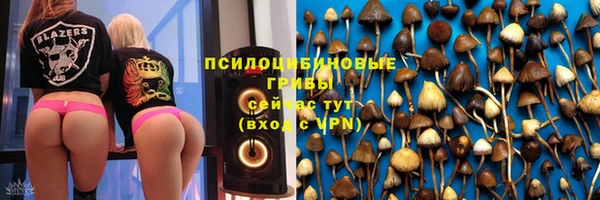 ALPHA PVP Дмитриев