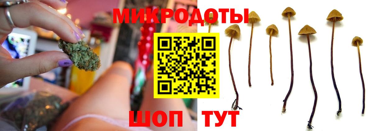 Псилоцибиновые грибы мухоморы Борзя